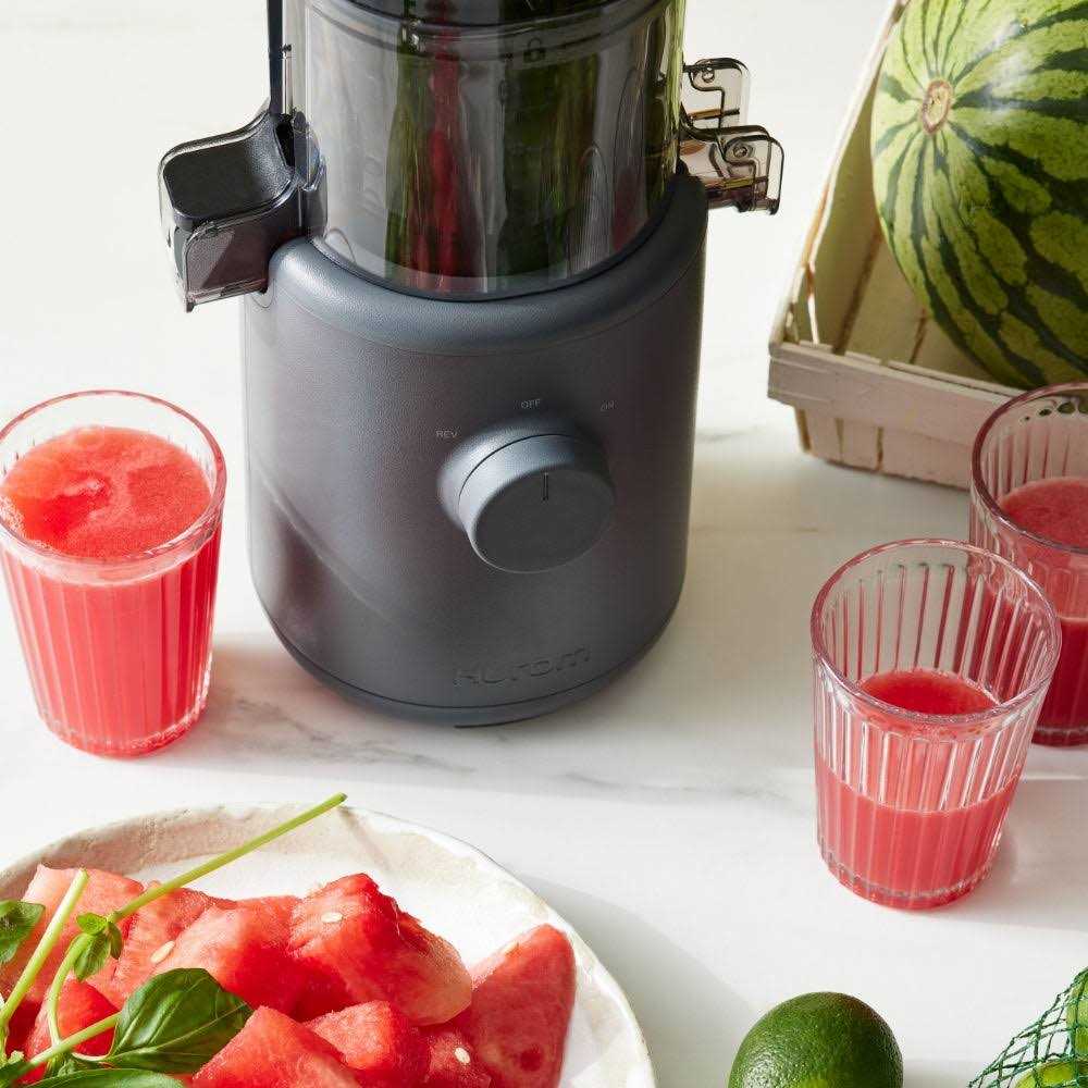 Hurom H310A Personal Self Feeding Slow Masticating Juicer
