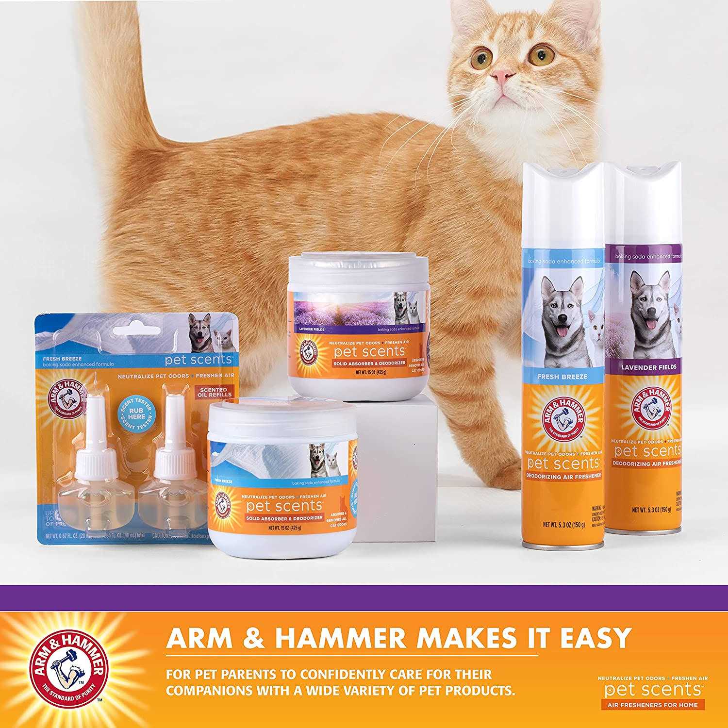 Arm & Hammer for Pets Pet Scents Solid Gel Deodorizer in Fresh Breeze Scent