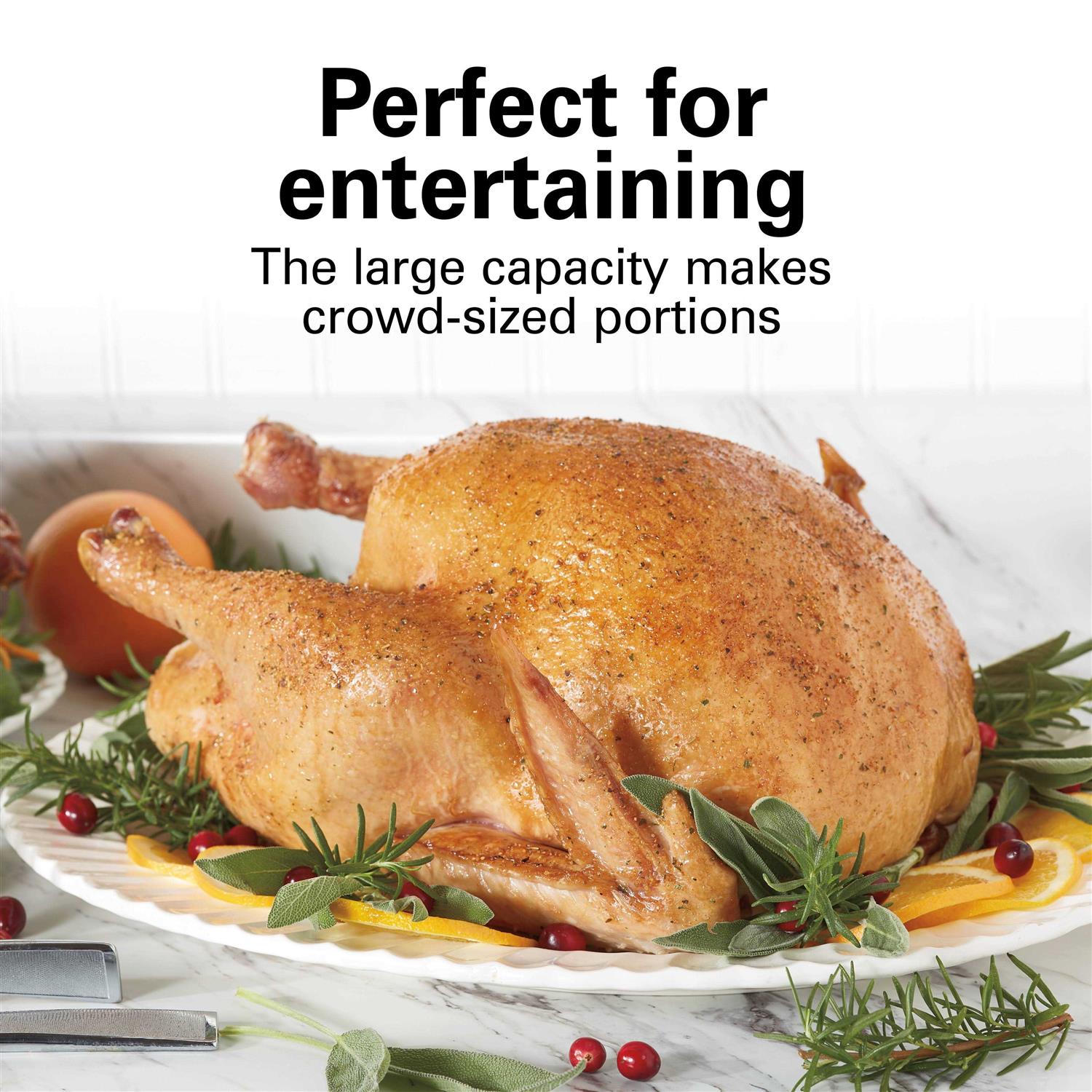 Hamilton Beach 22 Roaster Oven