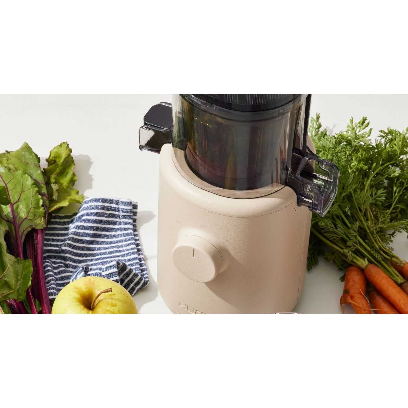 Hurom H310A Personal Self Feeding Slow Masticating Juicer