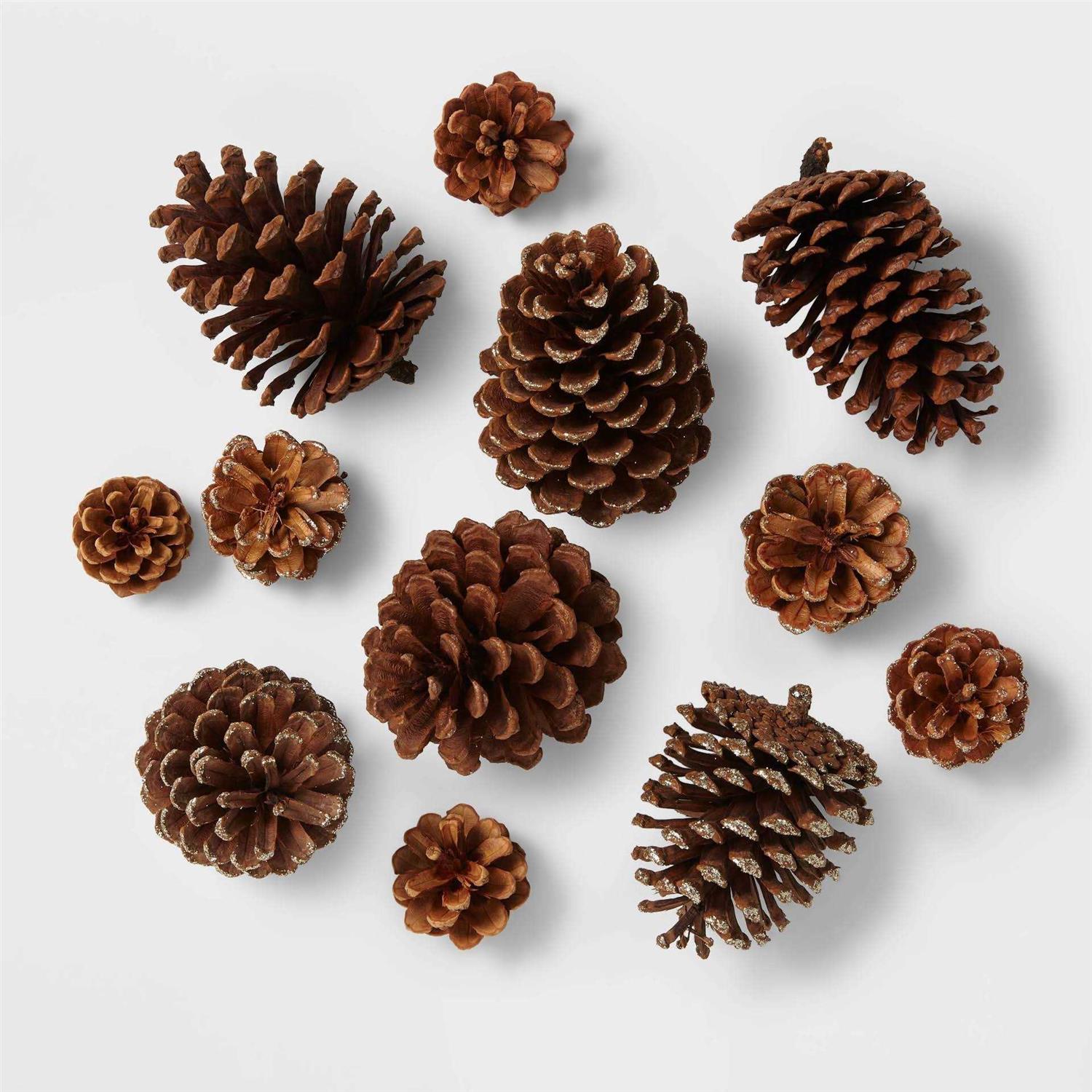 Wondershop 12ct Pinecone Decorative Filler Natural/Glitter