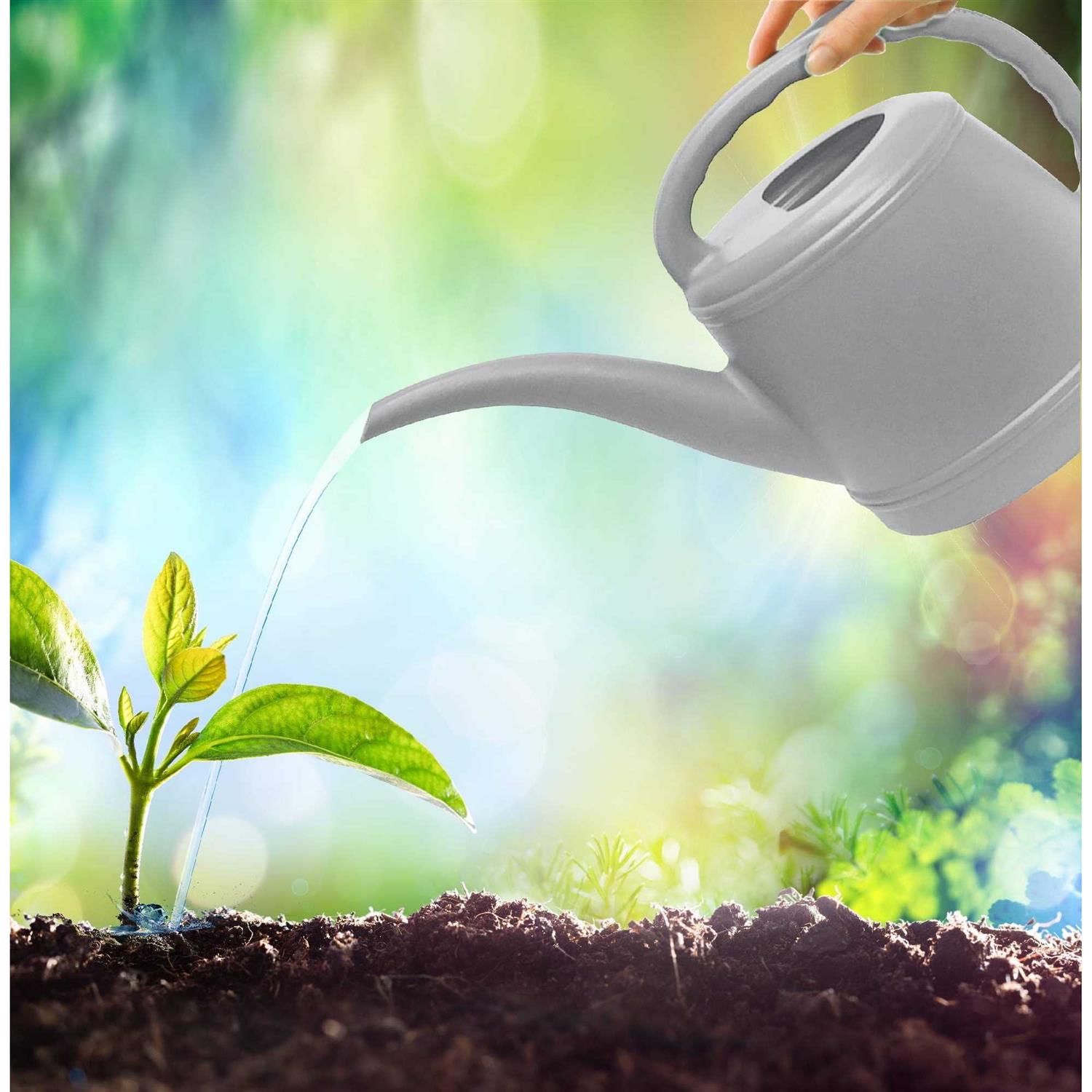 Expert Gardener 56 oz Gray Resin Watering Can