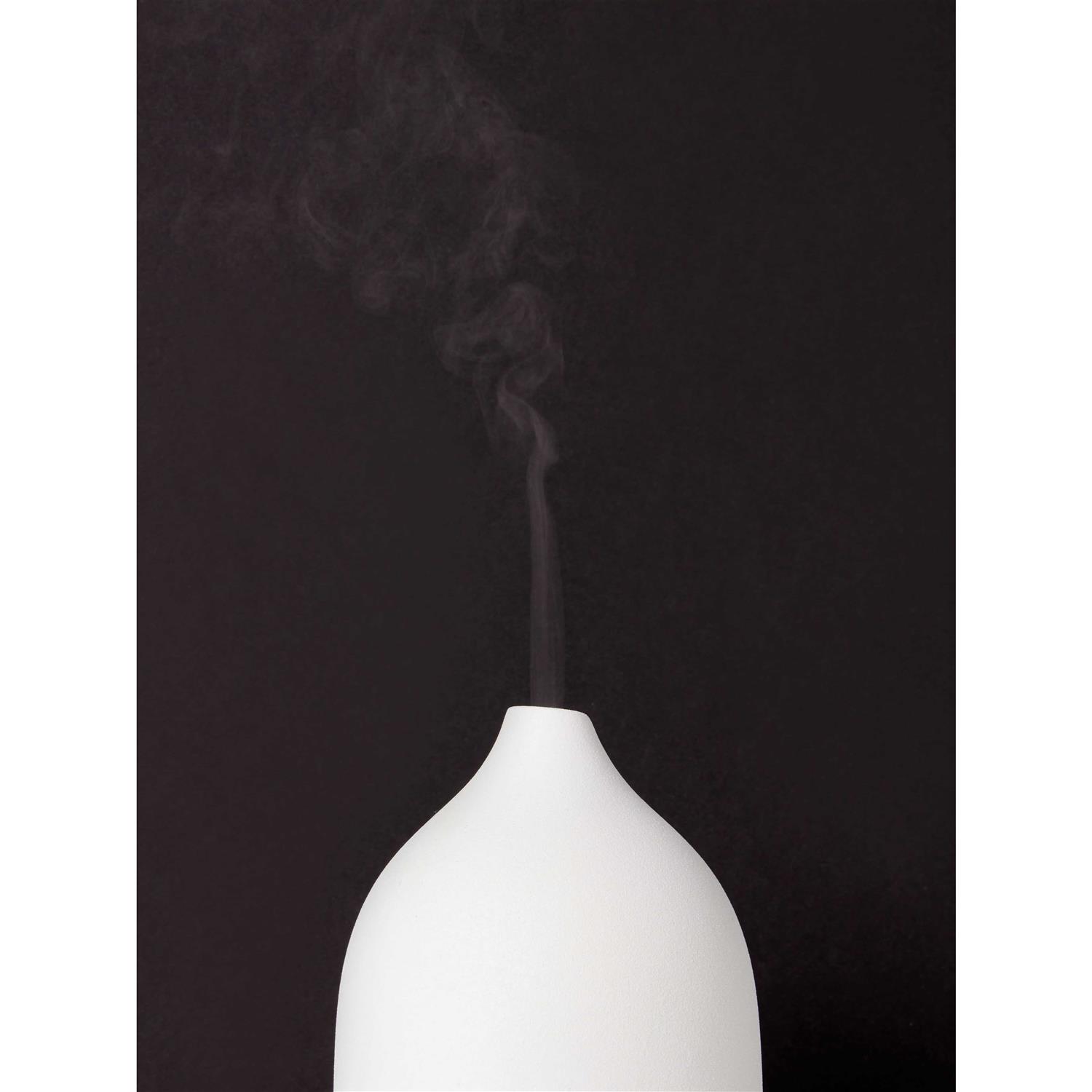 Vitruvi Stone Essential Oil Diffuser