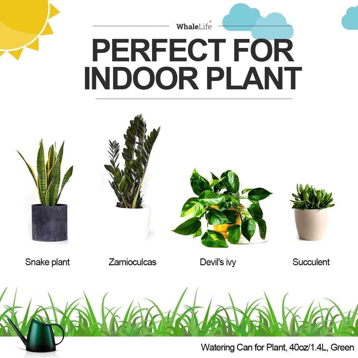 Whalelife Indoor Watering Can for House Bonsai Plants Garden Flower Long Spout 40oz