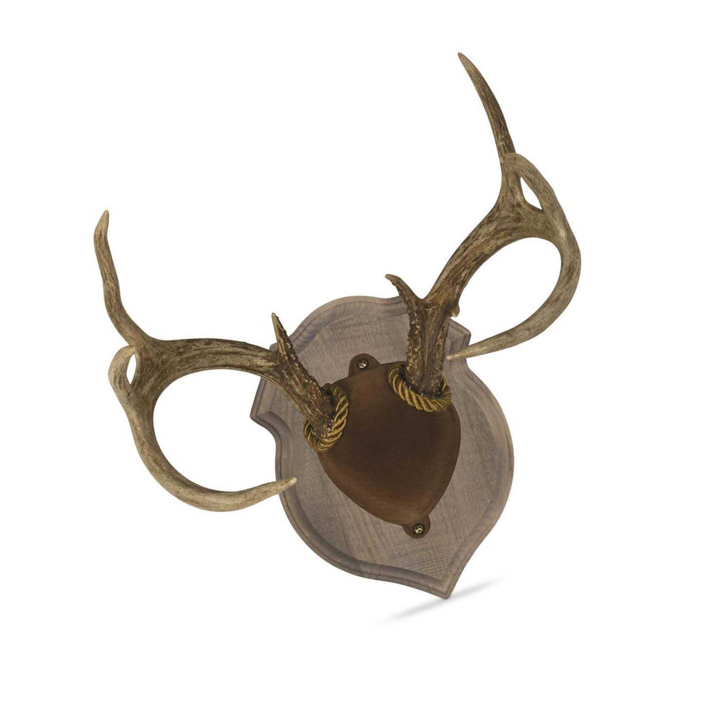Walnut Hollow Deluxe Antler Display Kit