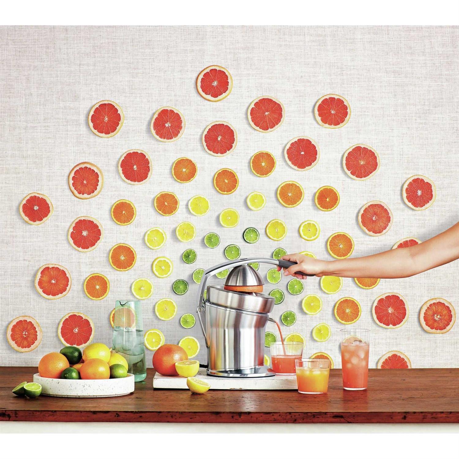 Breville Citrus Press 800CPXL