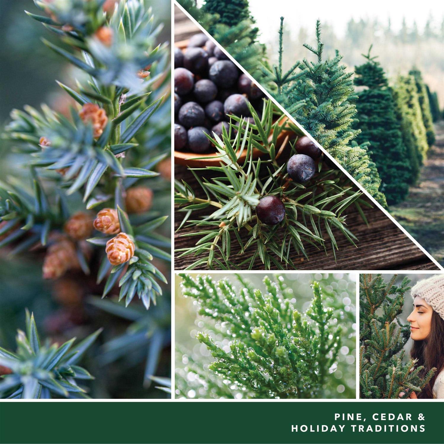 Yankee Candle Candle