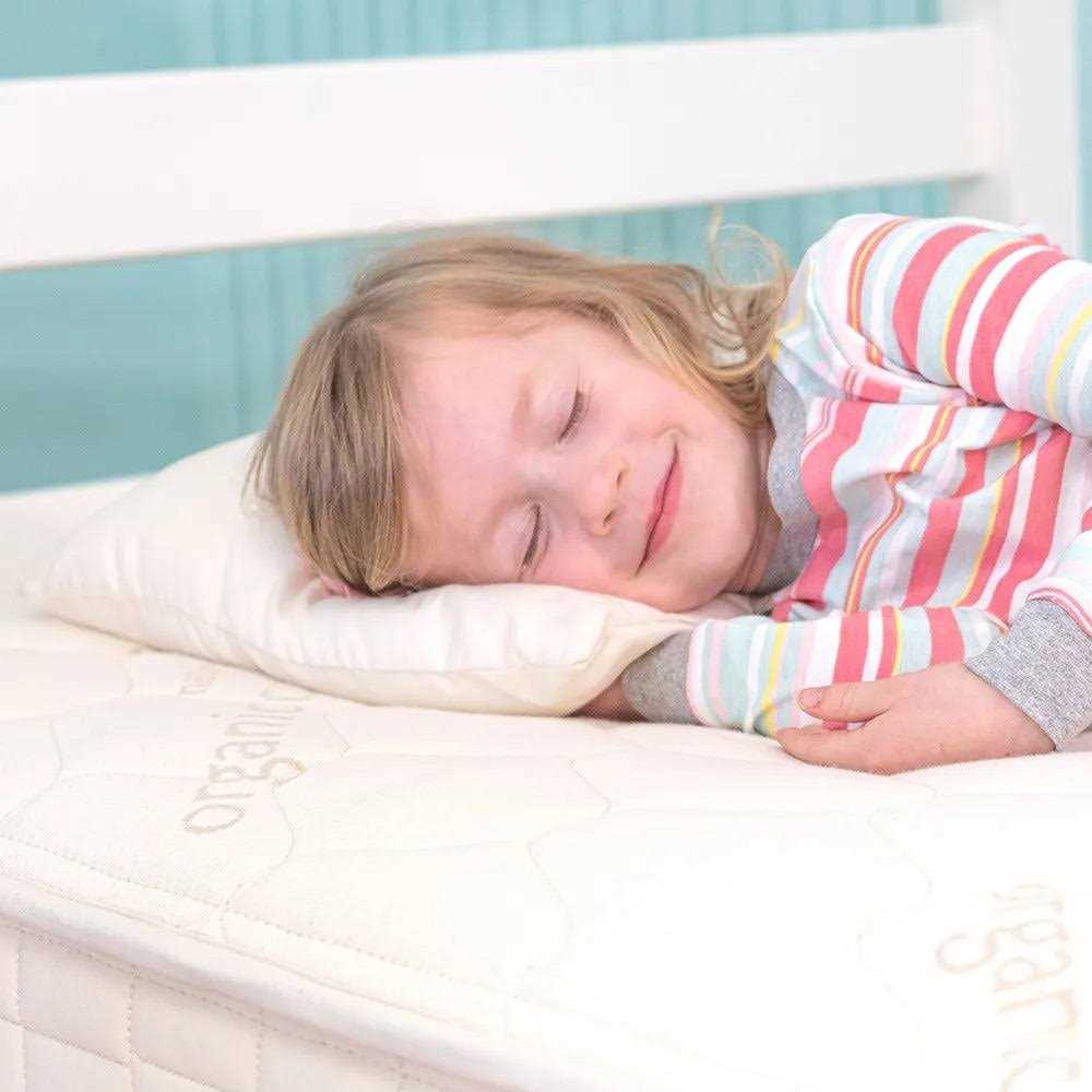 Naturepedic Organic Cotton PLA Pillow