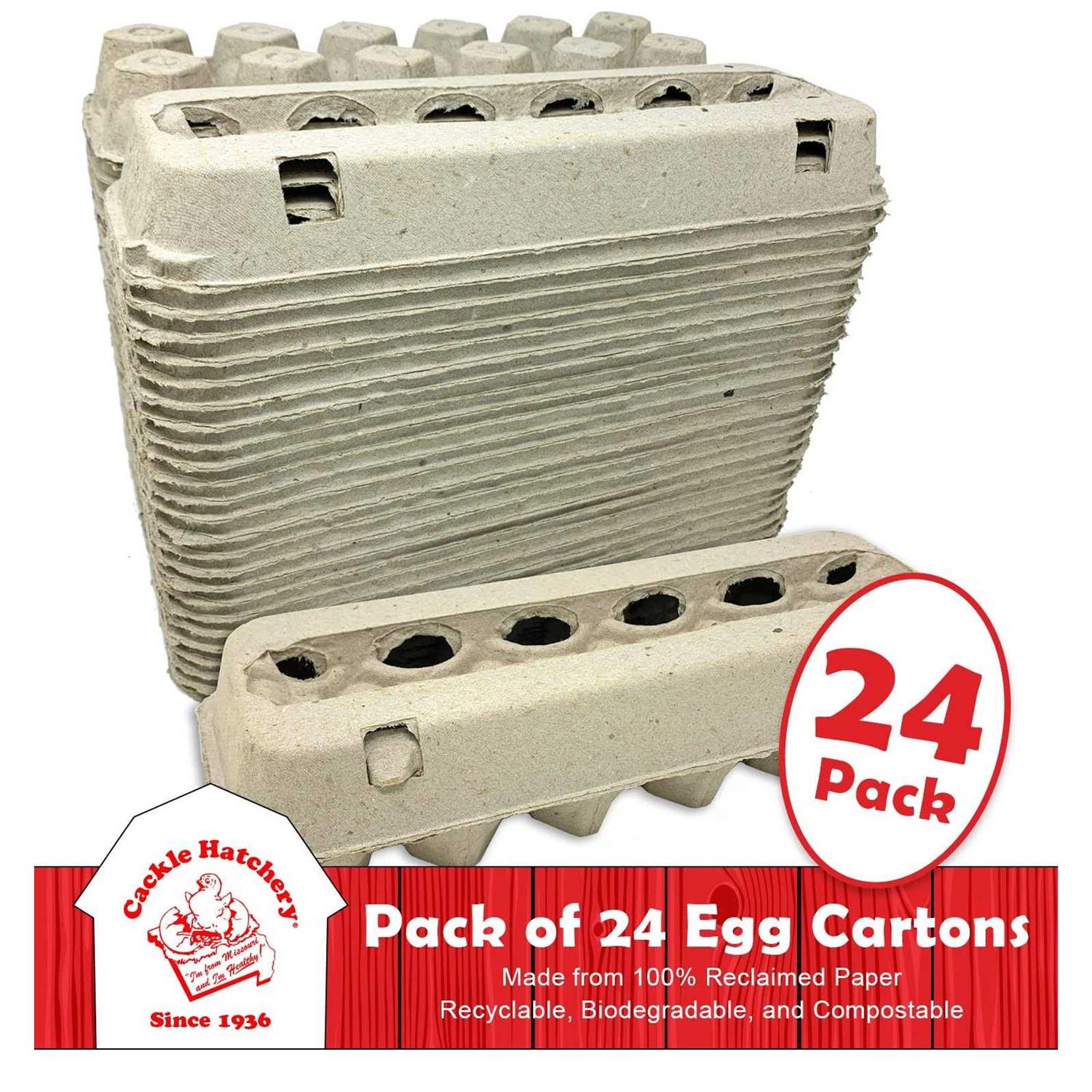 Vented Paper Pulp Egg Cartons