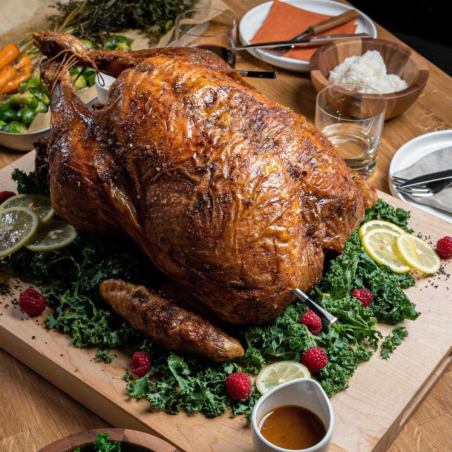 Traeger Grills MEATER Plus Wireless Meat Thermometer