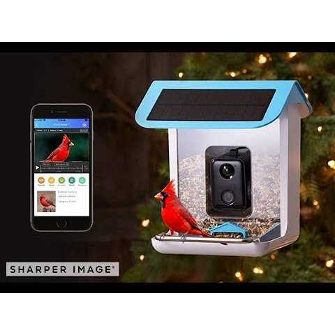 Video Bird Feeder Camera Solar Powered AI Bird Recognition