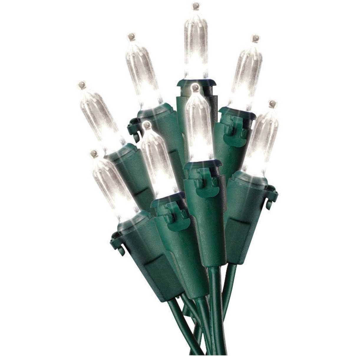 Celebrations LED Mini Warm White 50 ct String Christmas Lights 12.25 ft 40830-71