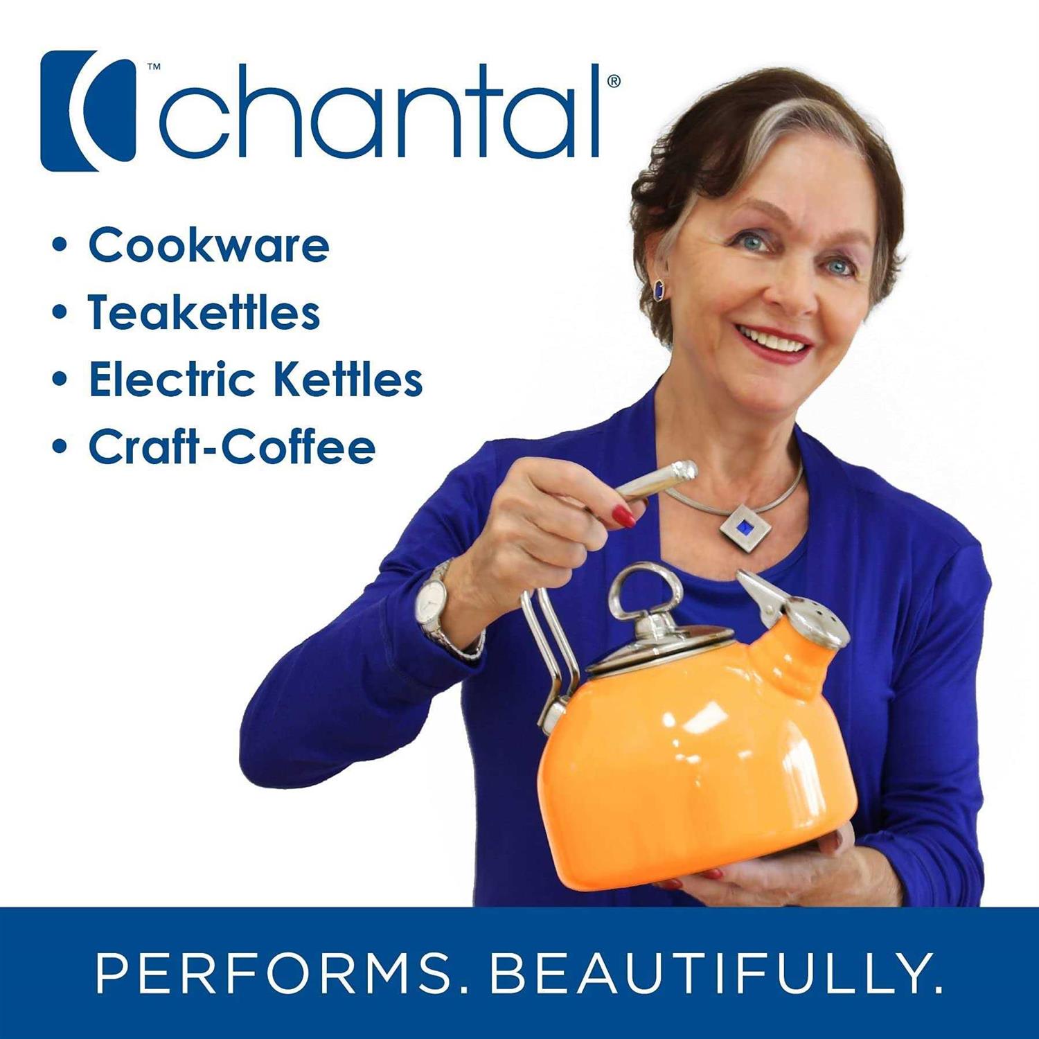 Chantal Enamel on Steel Vintage Teakettle
