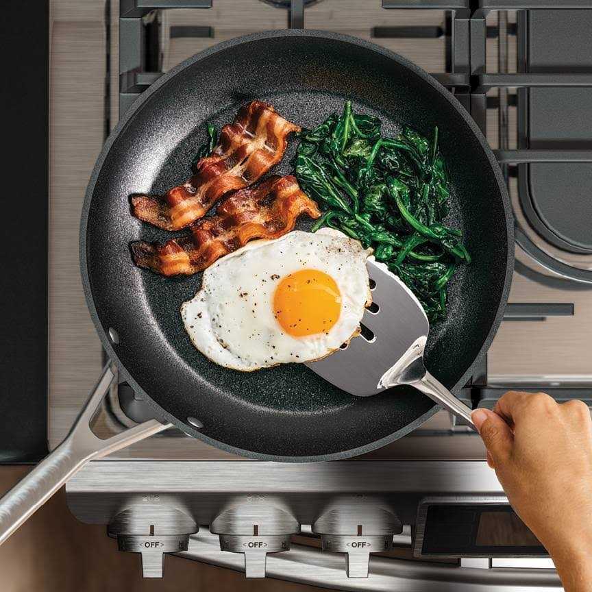 Ninja NeverStick Signature Hard-Anodized Aluminum 10 Fry Pan