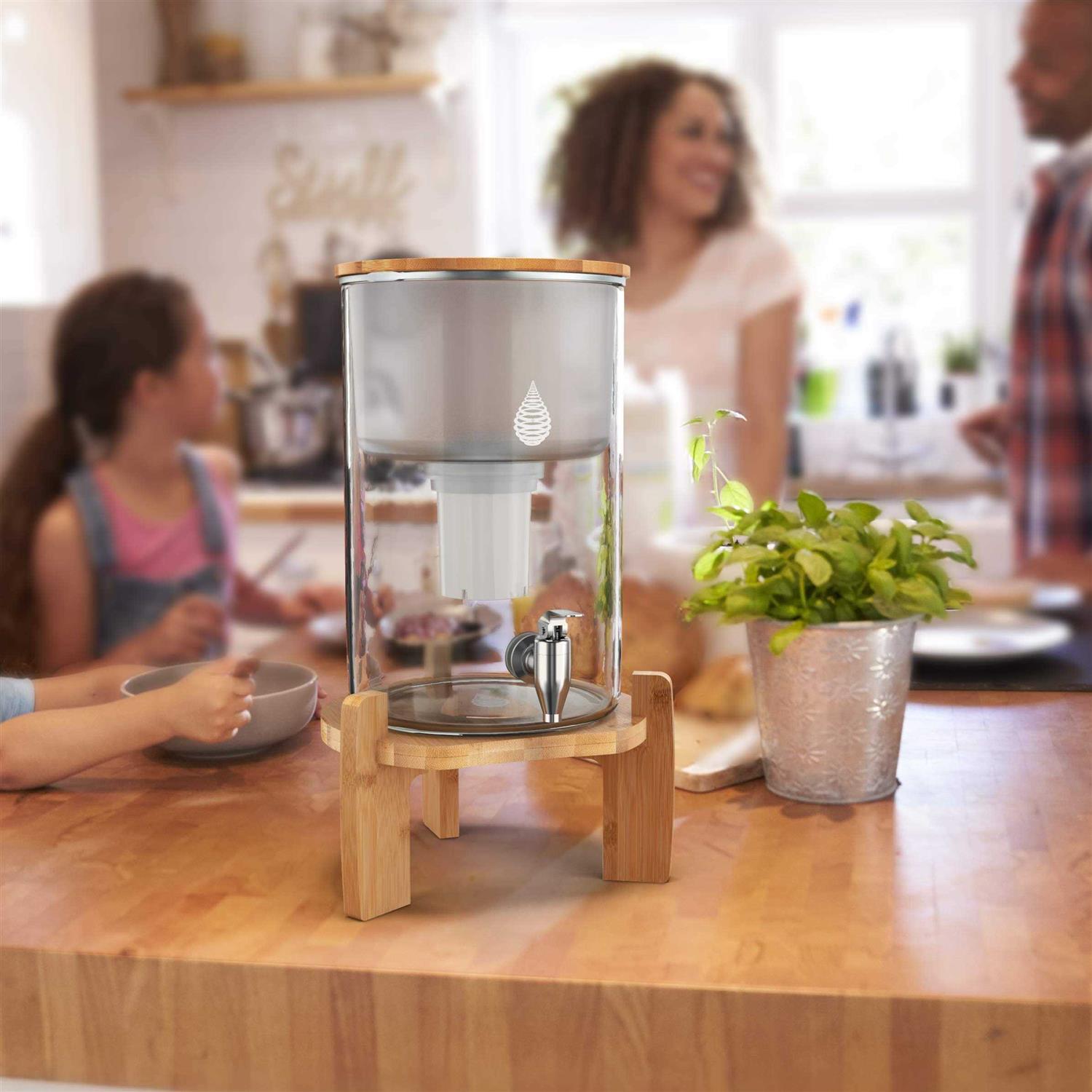 Invigorated Water Countertop Alkaline Water Filter pH Recharge Glass