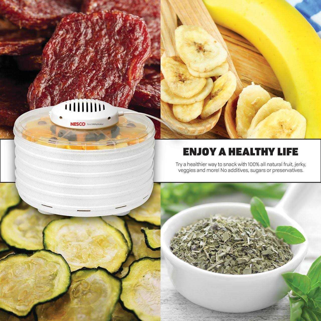 Nesco Tray Snackxpress Food & Jerky Dehydrator