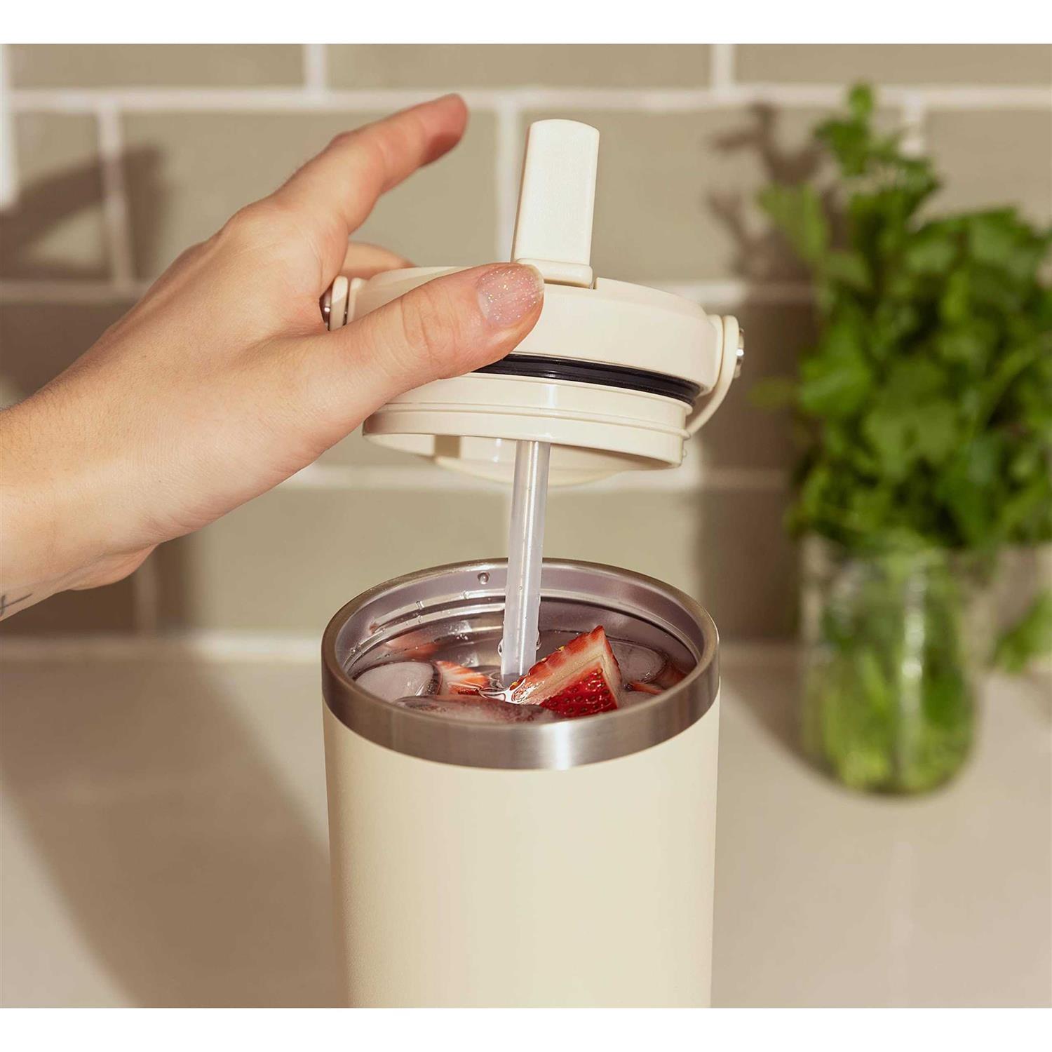 Hydrapeak Nomad 32oz Tumbler with Handle and Straw