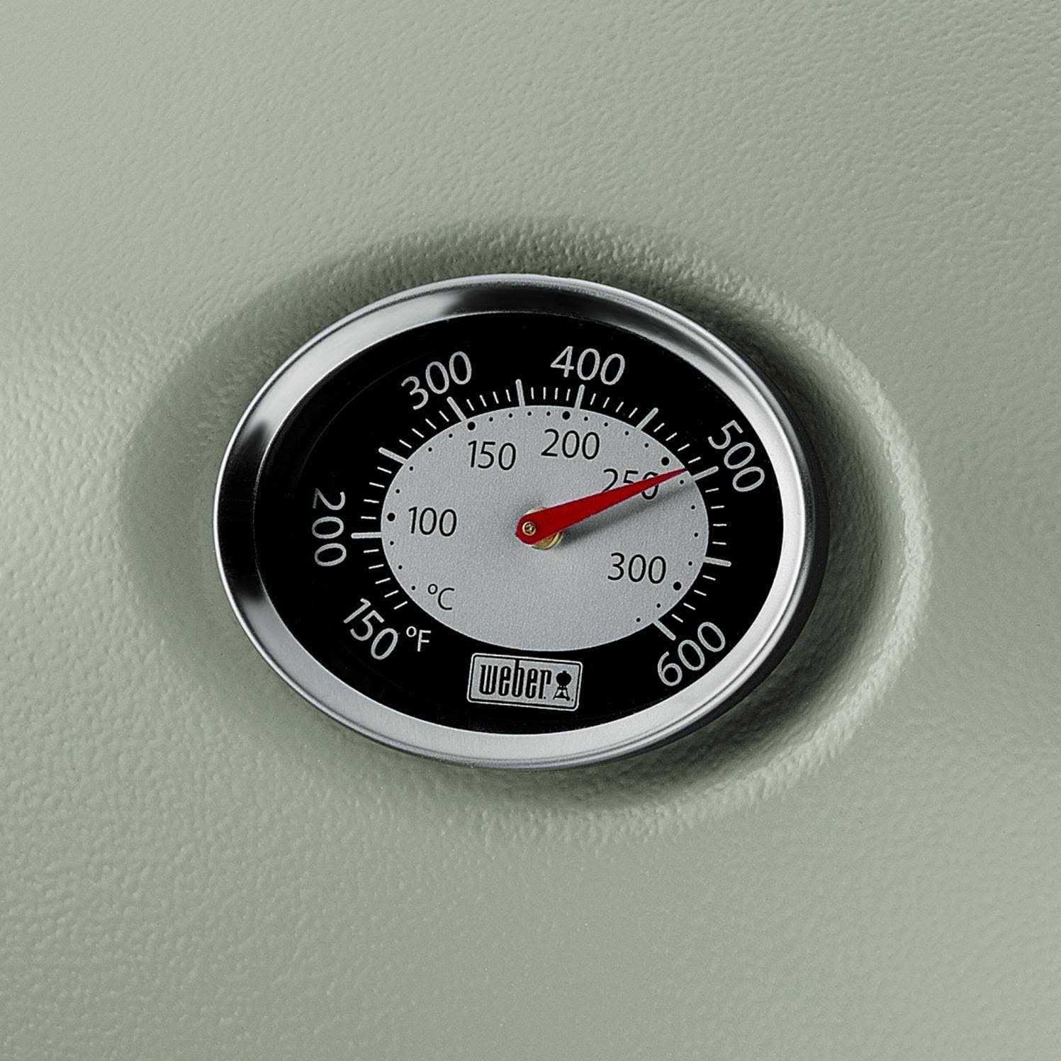 Weber Q 1200 Gas Grill