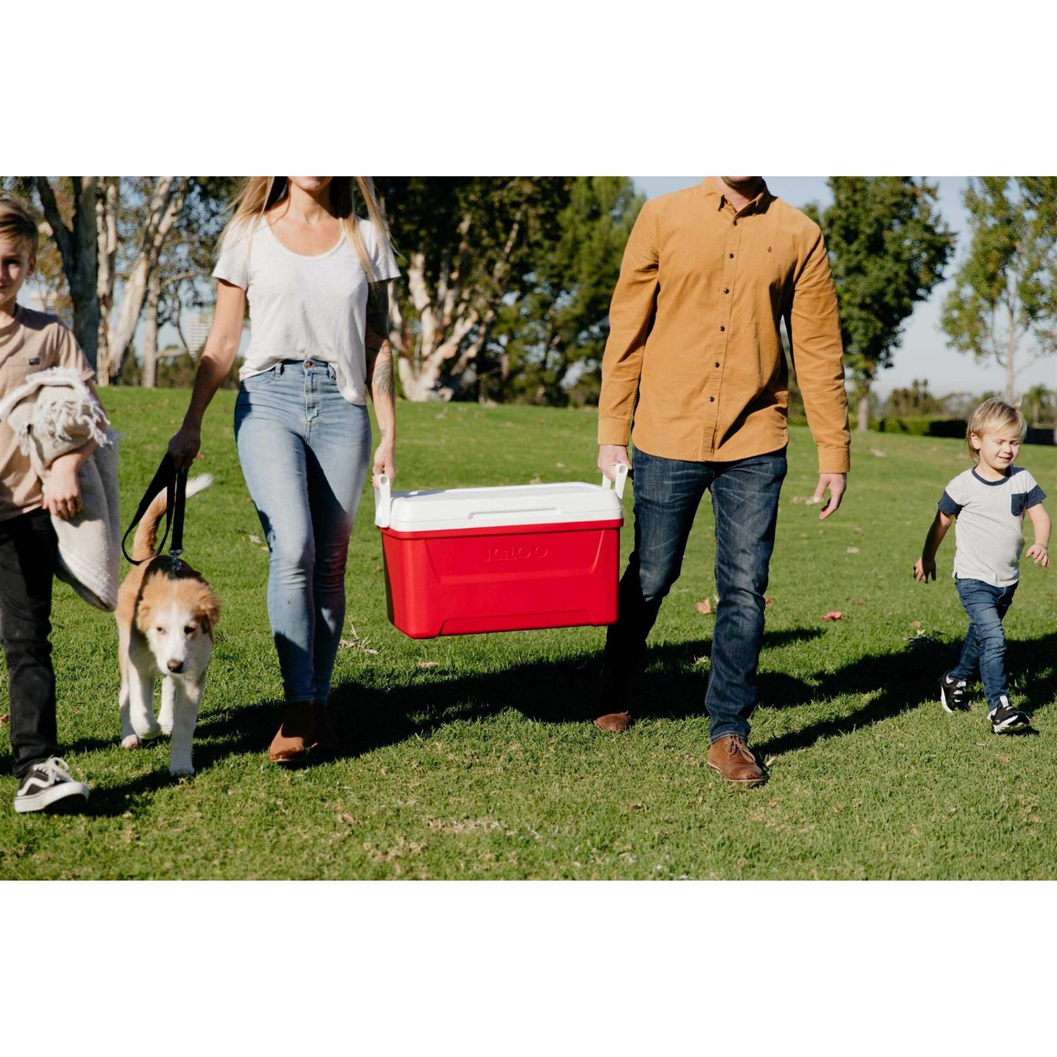 Igloo 48 qt Laguna Ice Chest Cooler