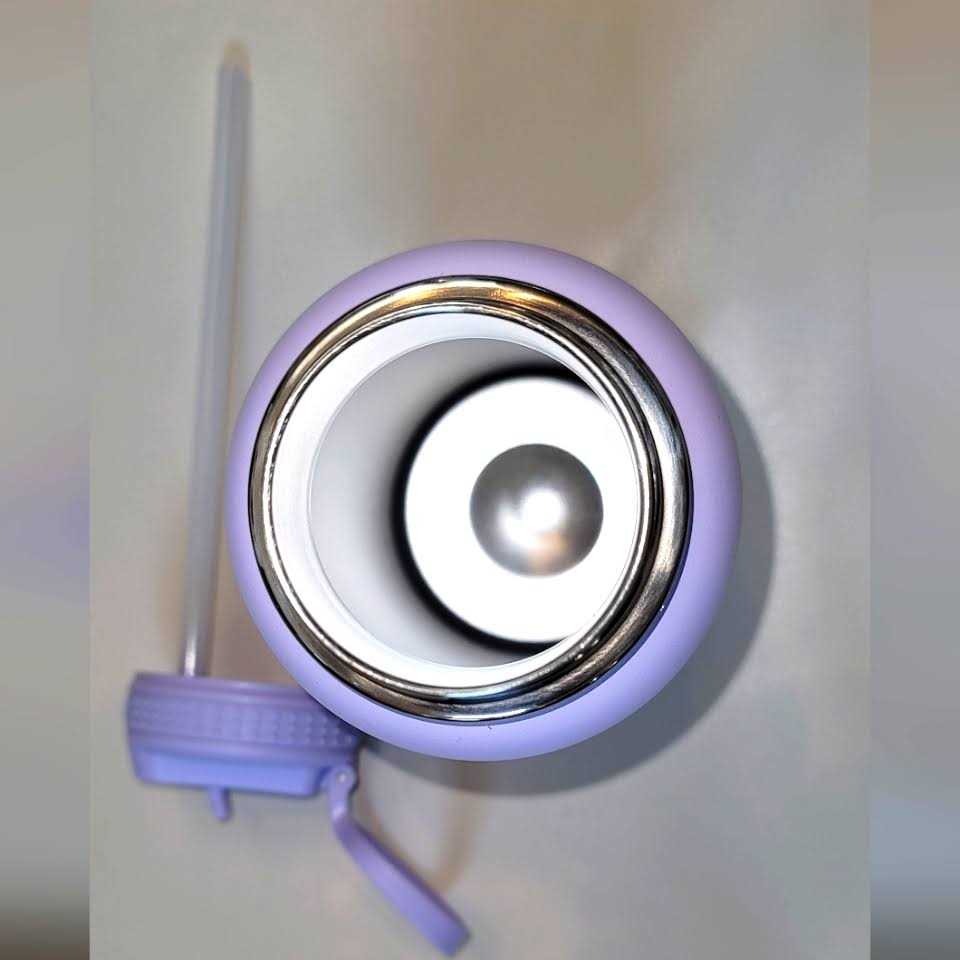 Takeya Actives Insulated Stainless Steel Water Bottle with Straw Lid