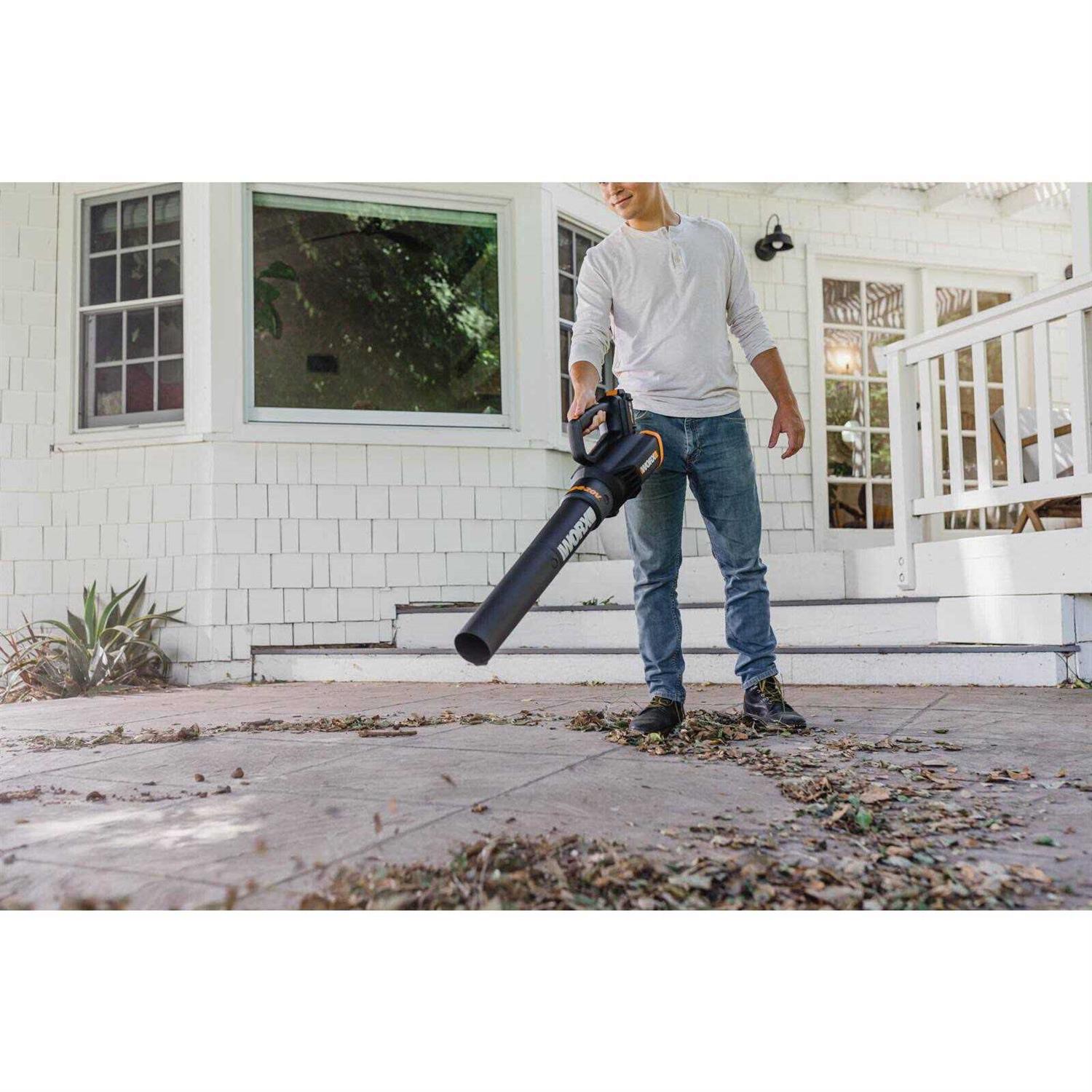 Worx 20V 10” Chainsaw and Turbine Blower Power Share Combo