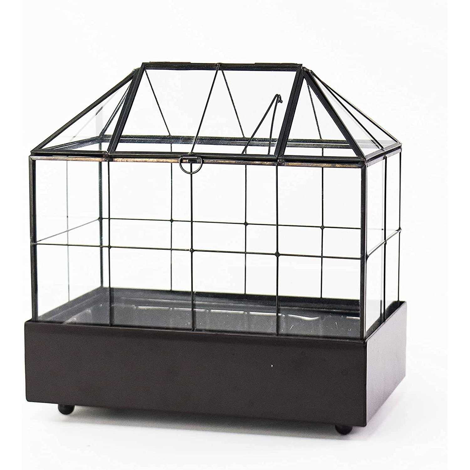 Large Tall Plant Terrarium Glass Glass Greenhouse Terrarium with Lid and Tray,Indoor Tabletop Orchid Succulent Cacti Terrarium Kit 9.5”X9.8”X5.6”