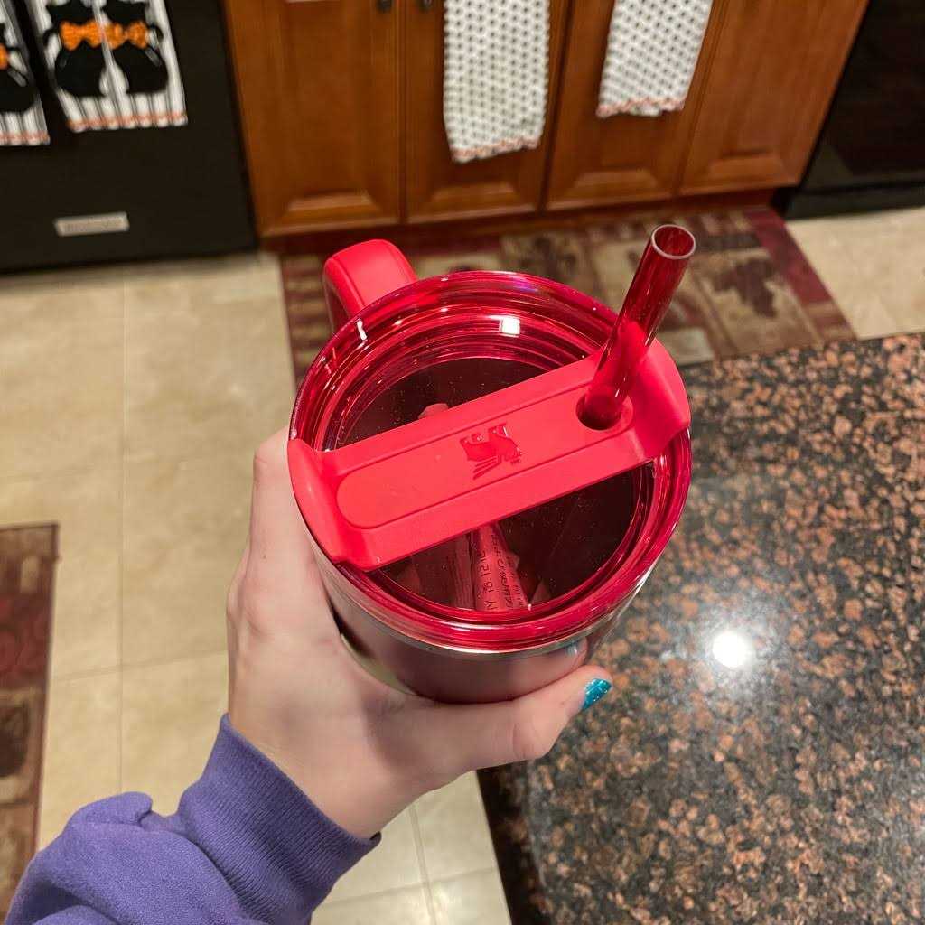 Stanley Dining Starbucks Stanley Holiday Quencher Limited Edition Tumbler 2023