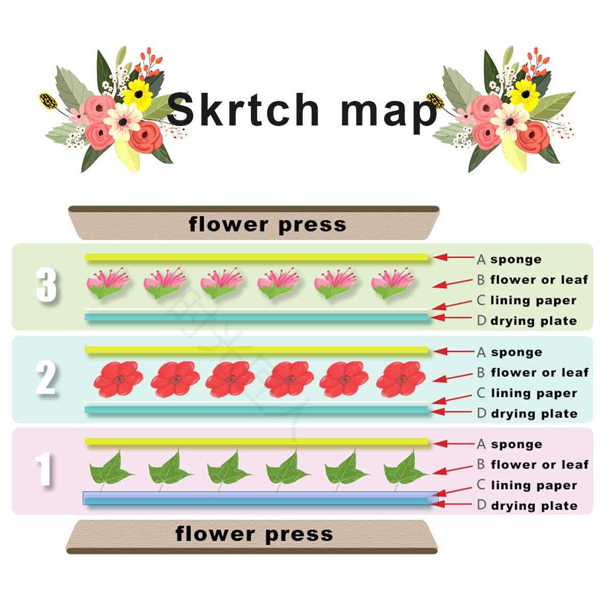 Worown Mini Flower Press Kit Leaf Press Plant Press 6 X 6 Inch 4 Layers Nature Press Kit Including Instructions
