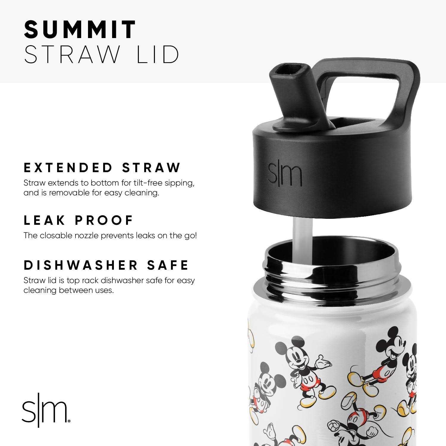 Simple Modern Summit Vacuum Insulated Stainless Steel Water Bottle Straw Lid