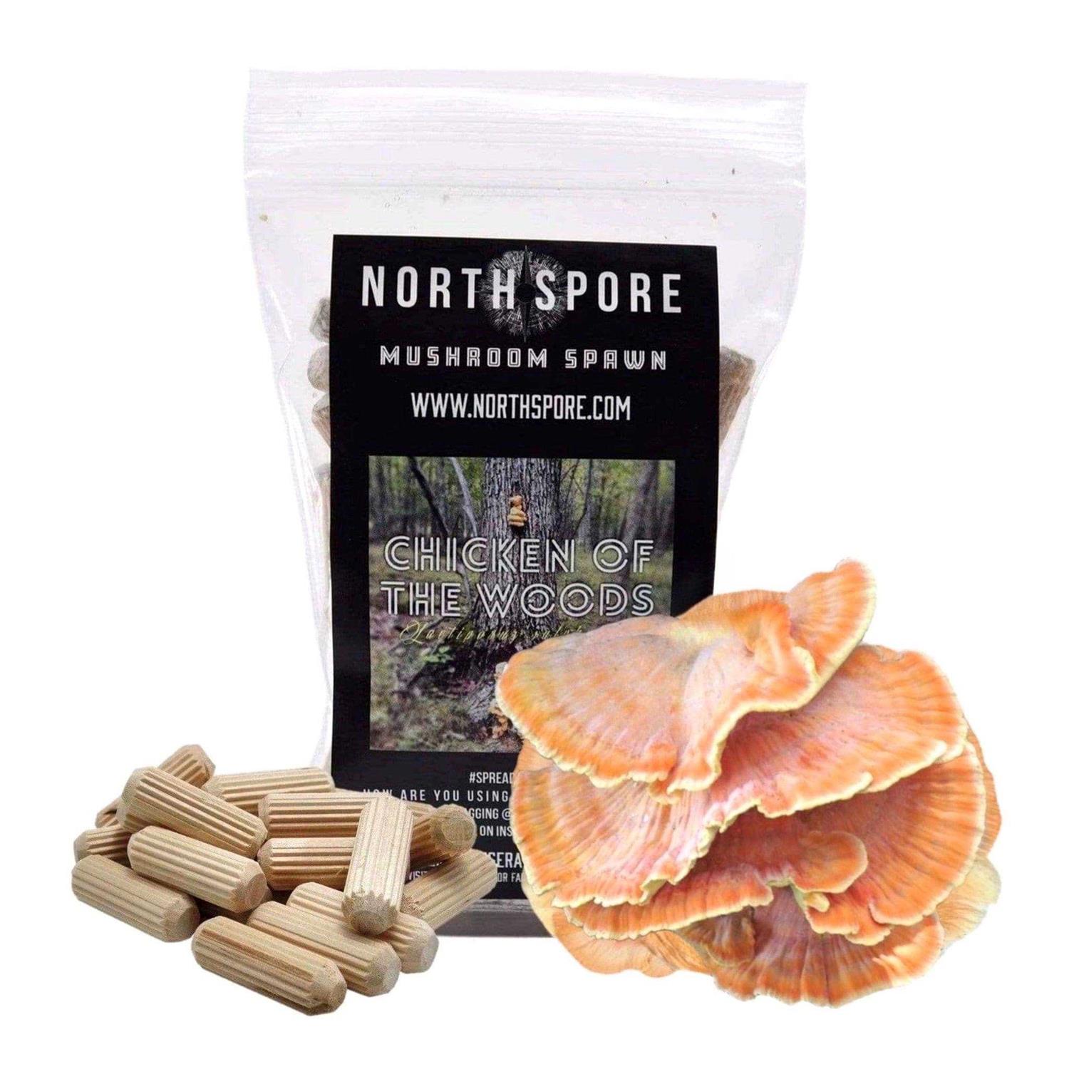 North Spore 100 ct. Organic Chicken of The Woods Mushroom Plug Spawn