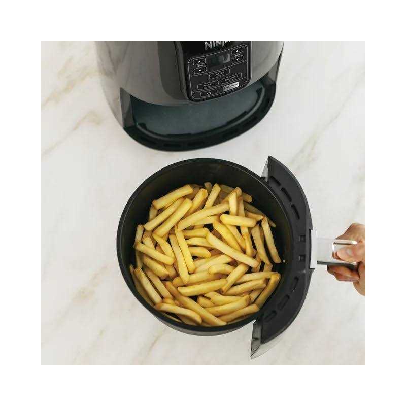 Ninja Air Fryer