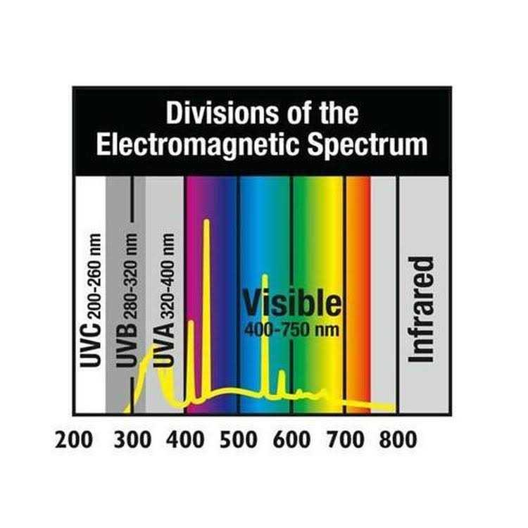 Zoo Med ReptiSun 5.0 T5-HO UVB Lamp