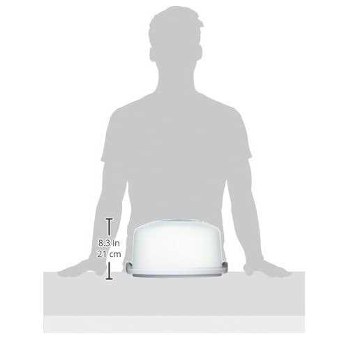 Sterilite Cake Server