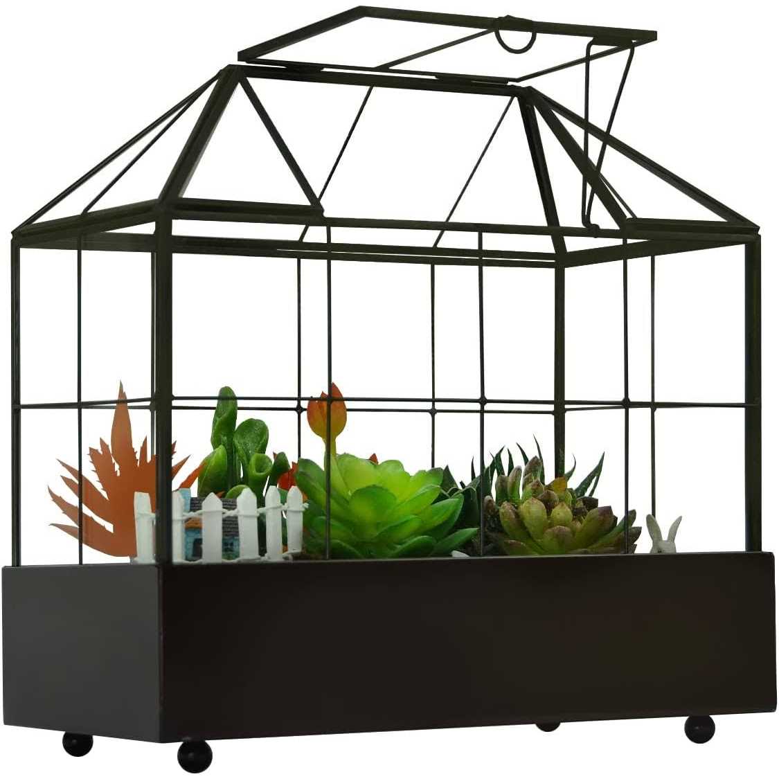 Large Tall Plant Terrarium Glass Glass Greenhouse Terrarium with Lid and Tray,Indoor Tabletop Orchid Succulent Cacti Terrarium Kit 9.5”X9.8”X5.6”