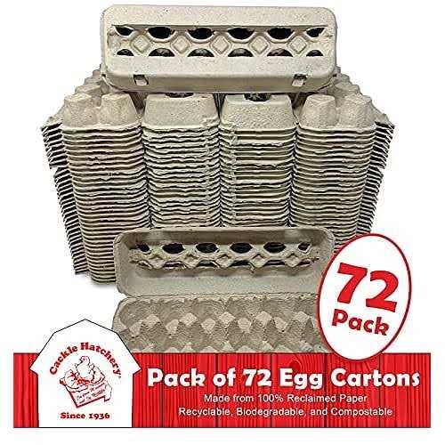 Vented Paper Pulp Egg Cartons