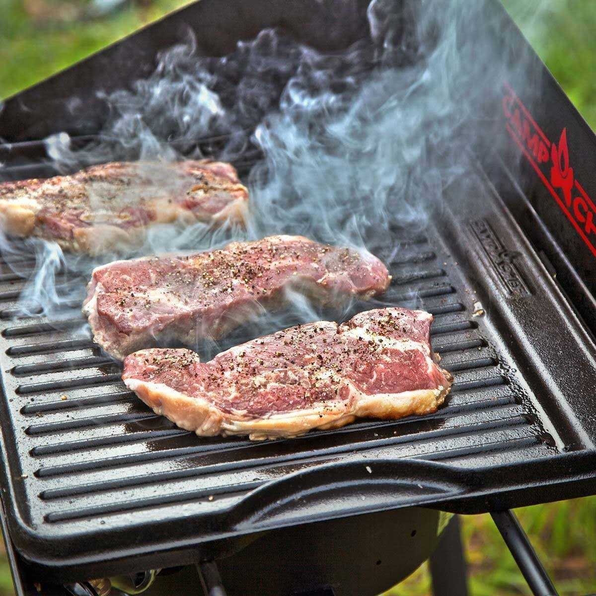 Camp Chef Propane Camping Stove