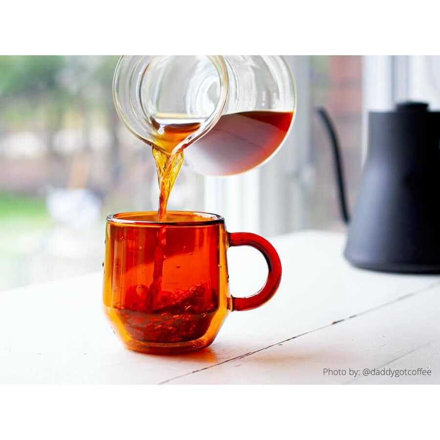 Hearth Glass Double Walled Glass Coffee Mugs