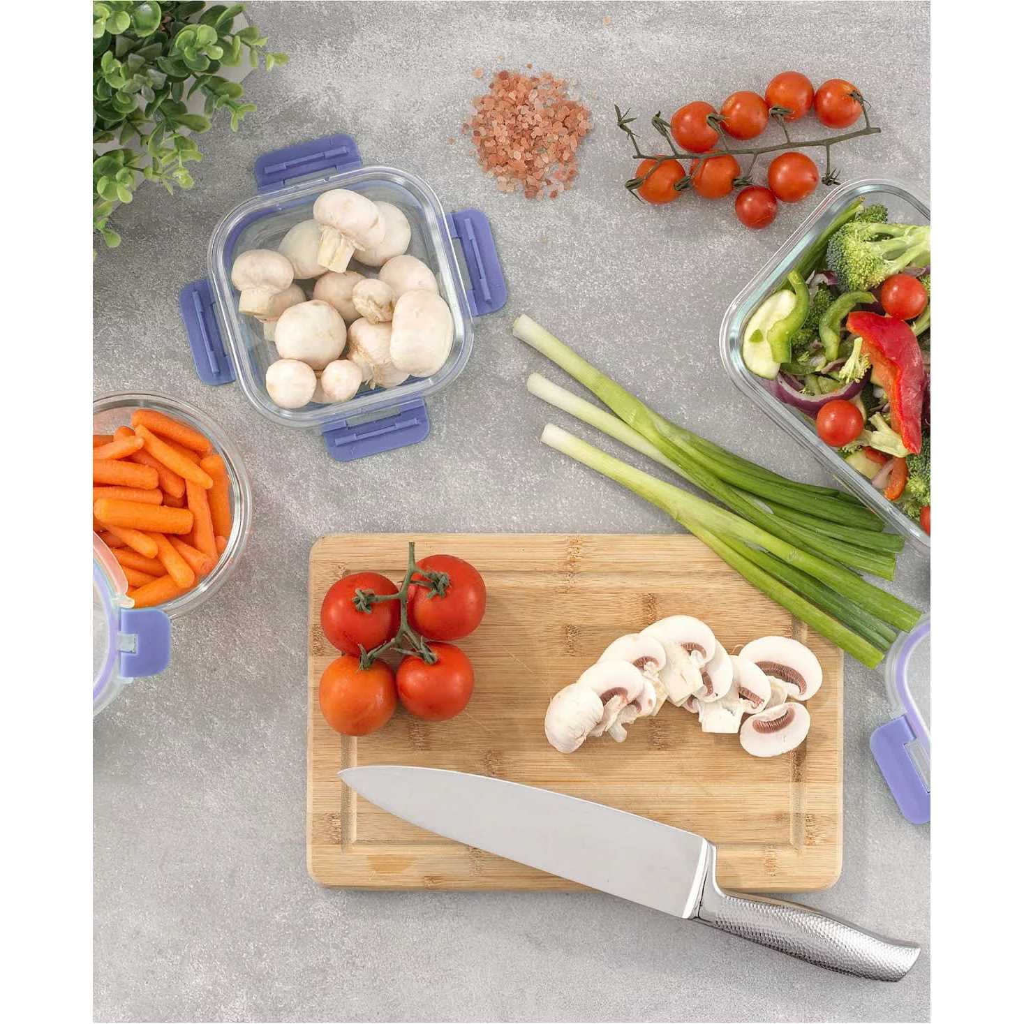 JoyJolt JoyFul 24-Piece Glass Storage Containers with Leakproof Lids Set