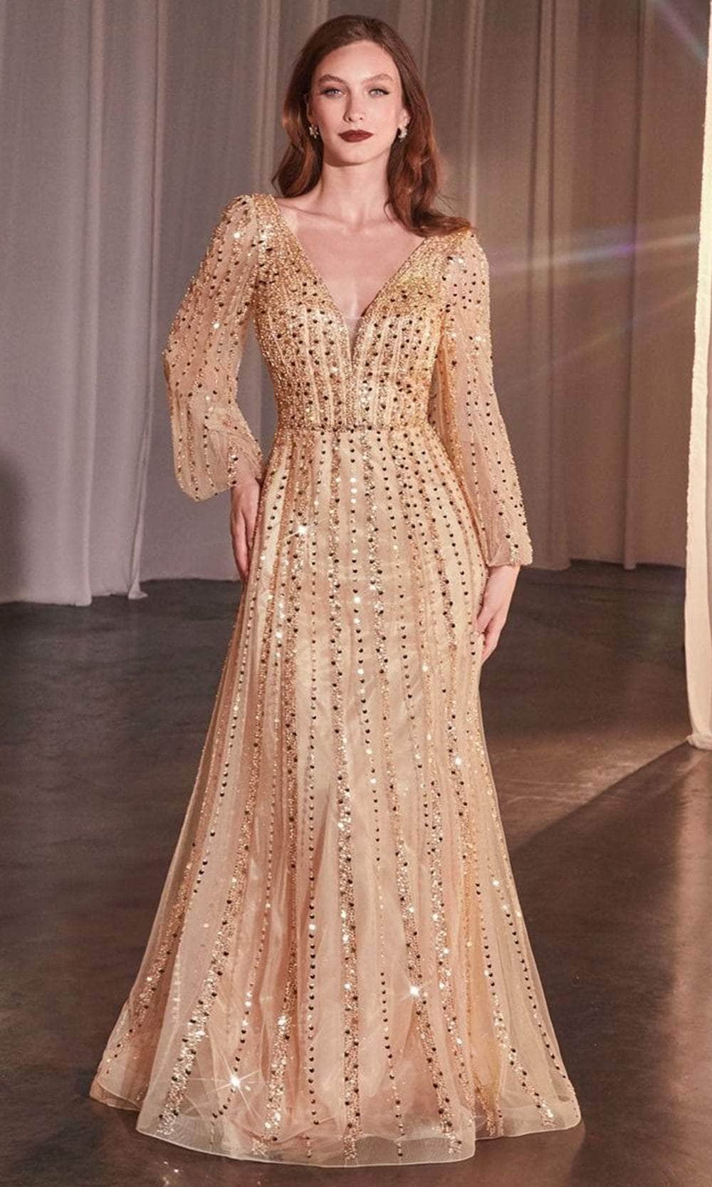 Bishop Sleeve Sheer Evening Gown