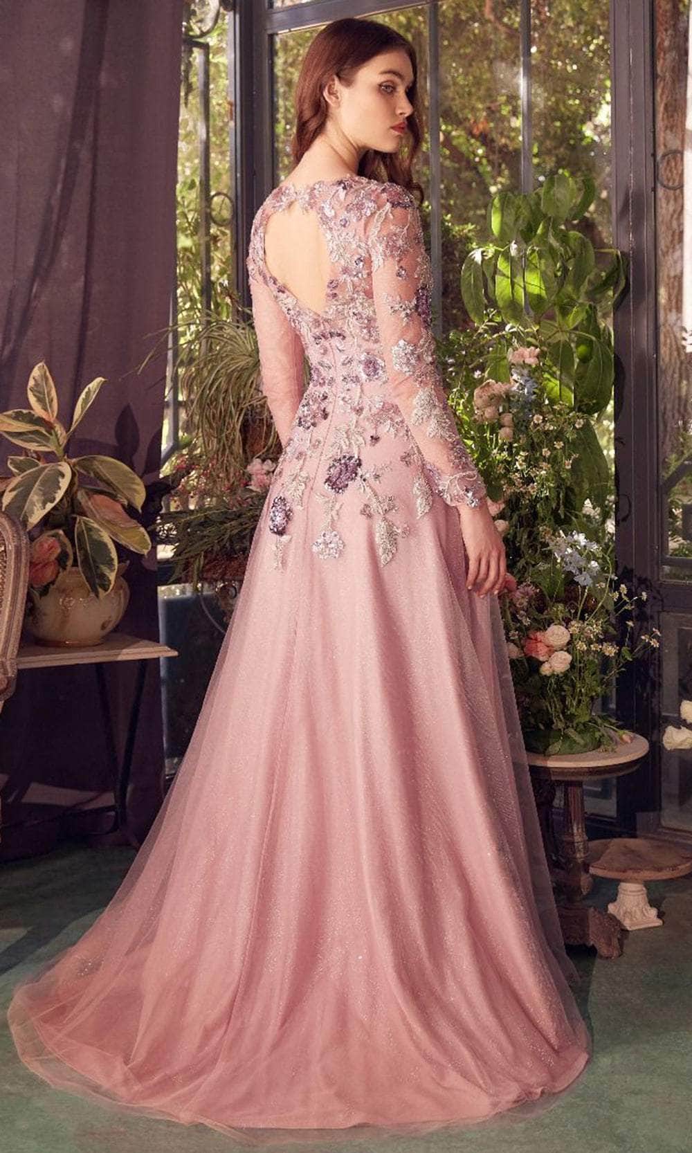Embroidered Long Sleeve Evening Gown