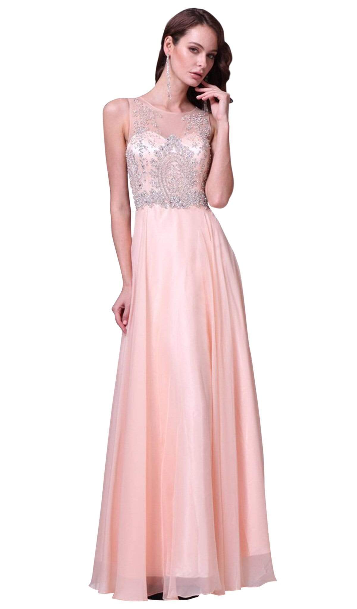 Sleeveless Illusion Metallic Appliqued A-Line Gown