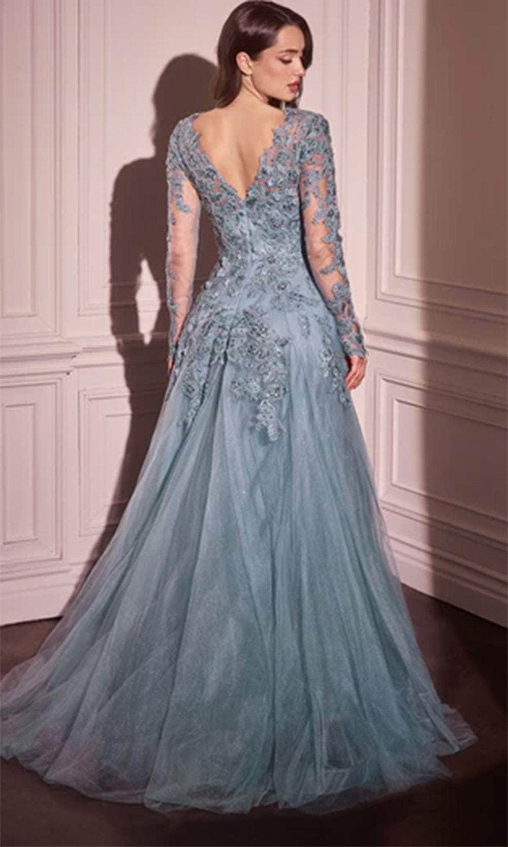 Illusion Long Sleeve Evening Gown