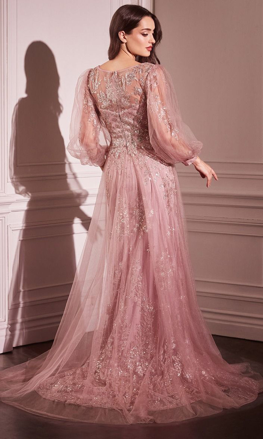 Long Sleeve Applique Gown