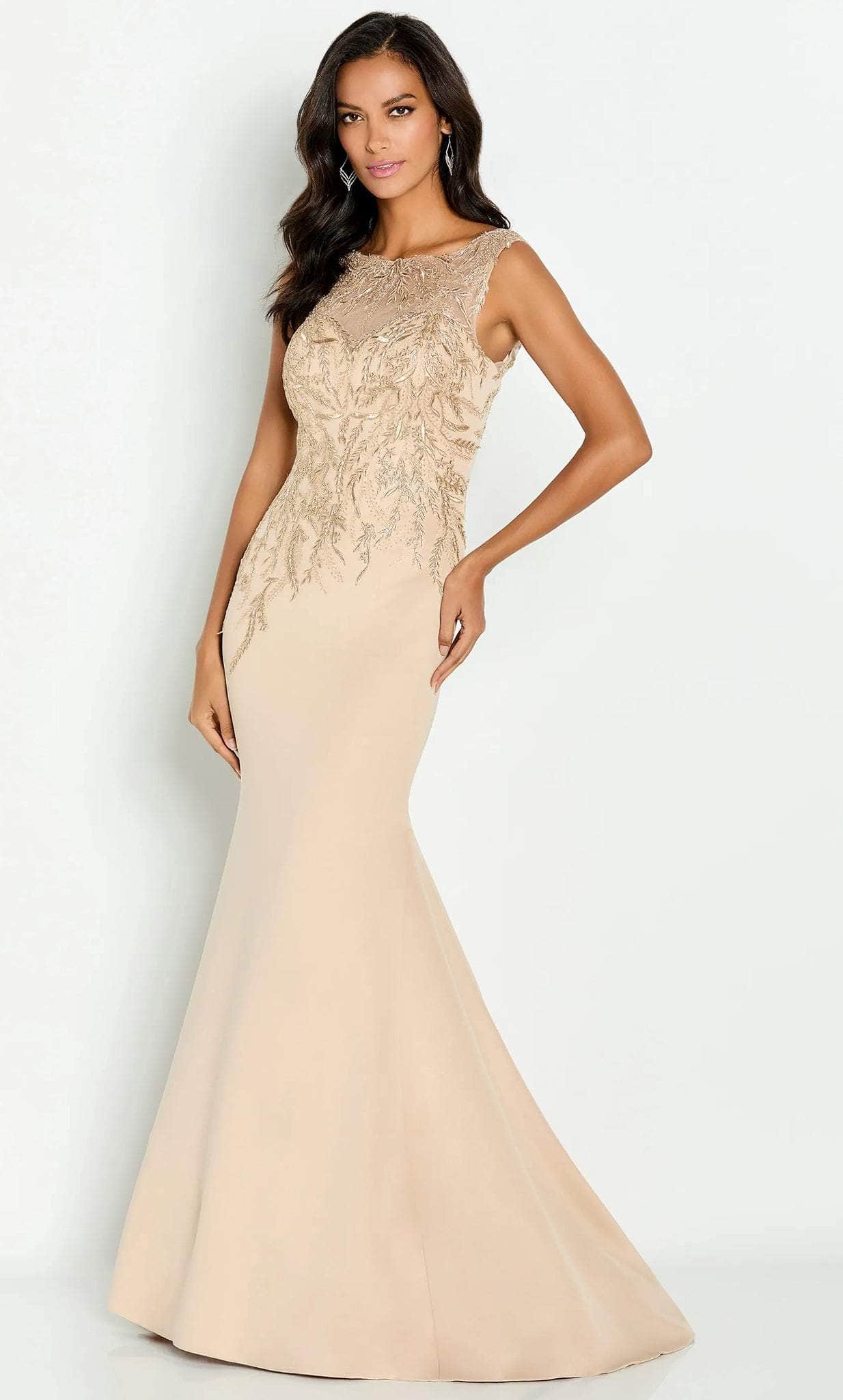 Sleeveless Embroideries Evening Gown