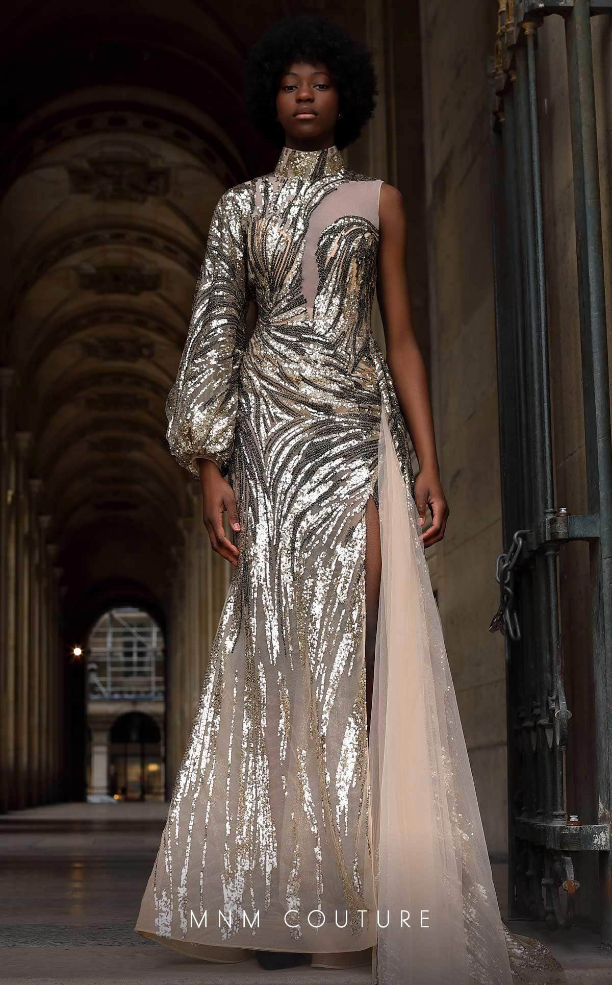 Embellished Sheer High Neckline Gown