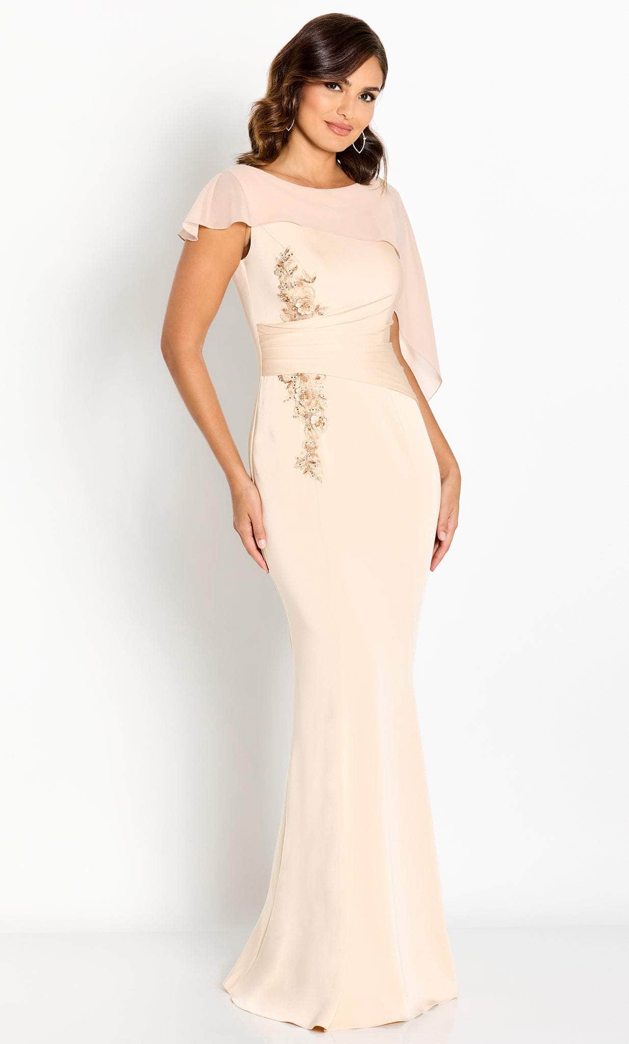 Draped Sleeve Evening Gown