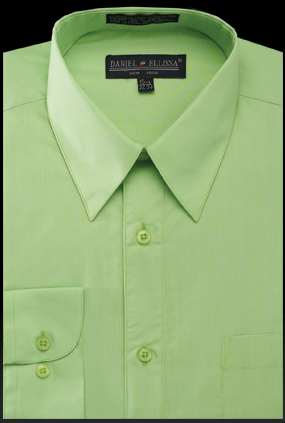 Men’s Regular Fit Basic Dress Shirt in Apple Green