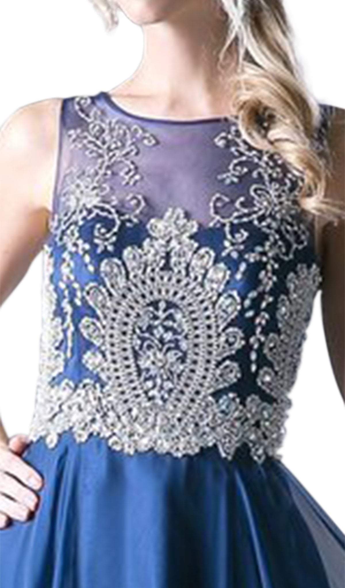 Sleeveless Illusion Metallic Appliqued A-Line Gown