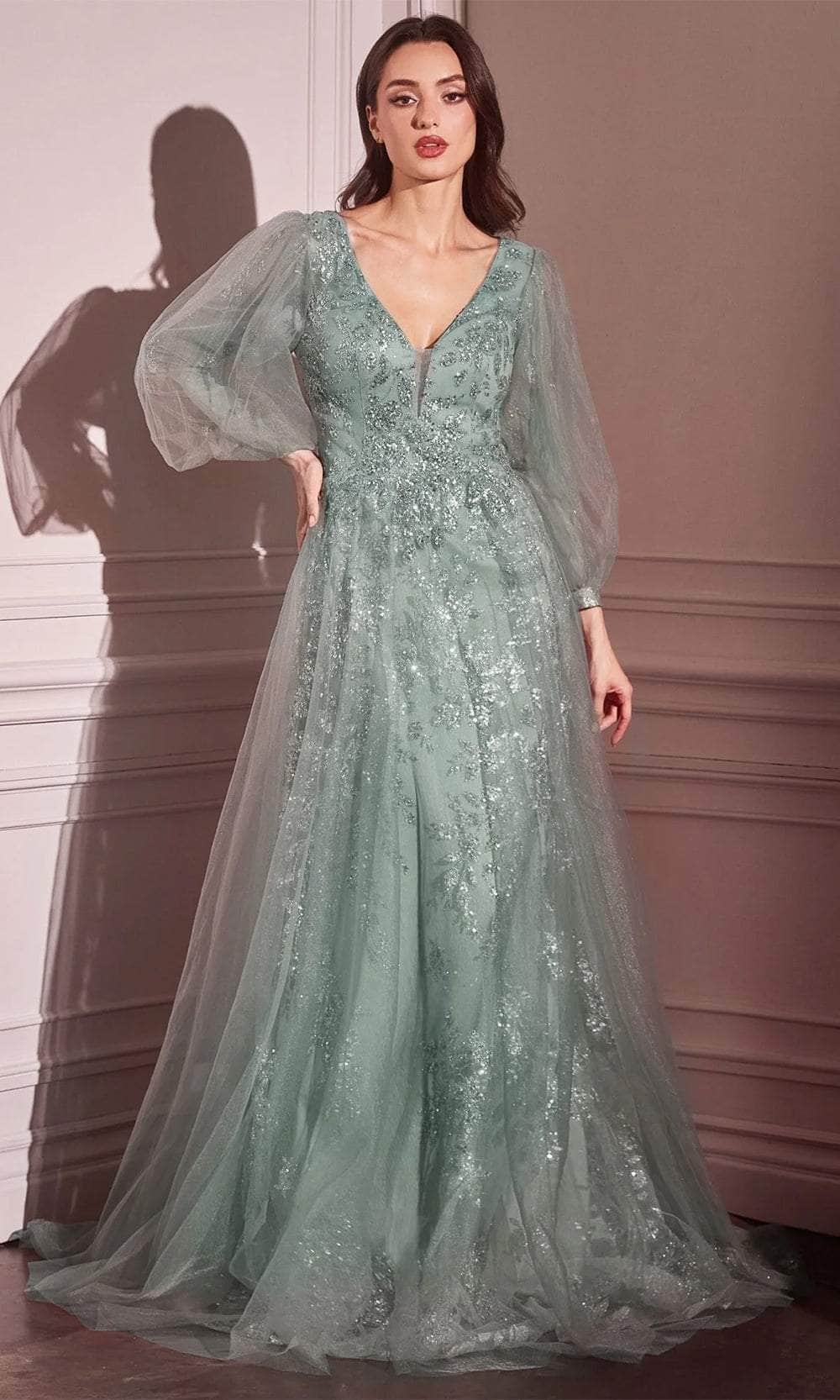 Long Sleeve Lace Applique Gown
