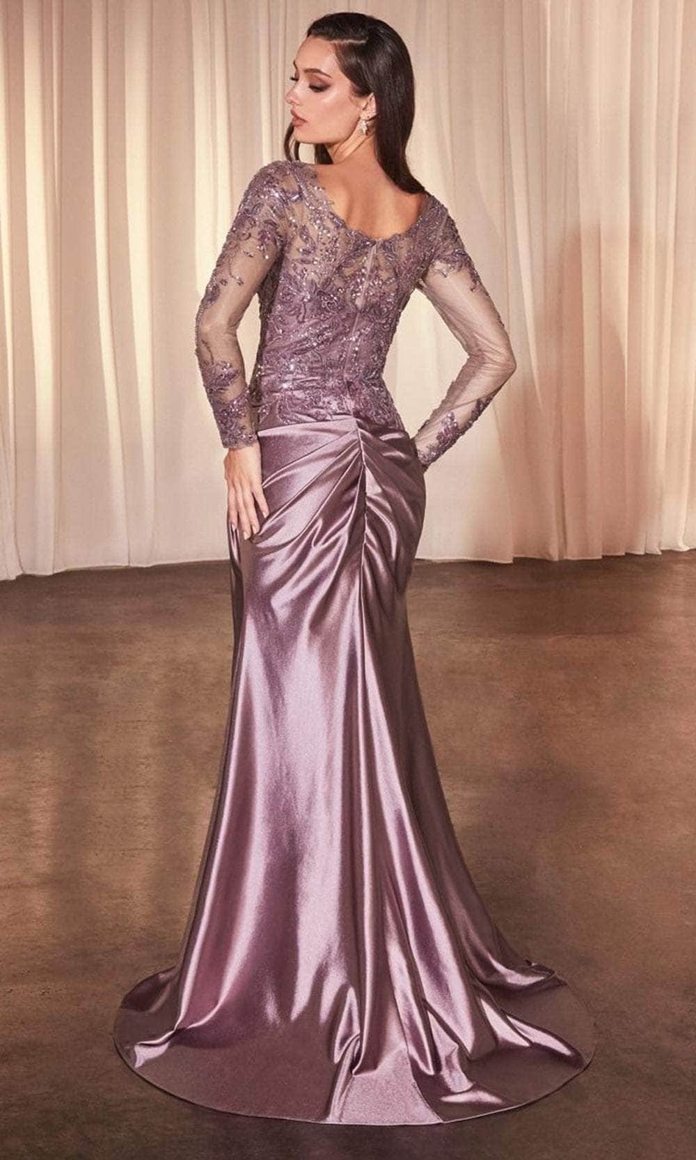 Illusion Bateau Sheath Evening Gown
